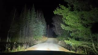 Late Night Nature, Logging Operations And Beaver Floods Tour, Talking