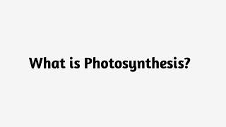 What is Photosynthesis?