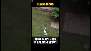 [아찔한 순간들] #재밌는영상 #웃긴영상 #웃긴영상모음 #황당영상 #황당사건 #웃긴짤 #웃짤하이라이트 #재밌는거 #재밌는동영상 #웃긴쇼츠 #쇼츠모음 #쇼츠리즘 #쇼츠모음