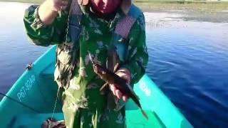Рыбалка онлайн специально для ВРК Адреналин.