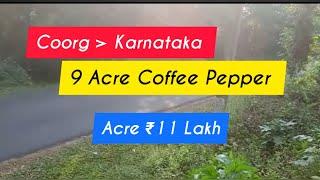 11 Acre Coffee Pepper Resort land For Sale | Coorg | Karnataka (Acre 11 Lakh)