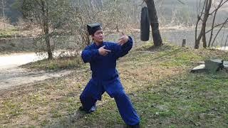 Wudang Master - become the free dragon