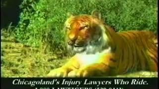 LAW TIGERS 2010 ad