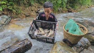 fish trap video, An orphan boy khai traps stream fish to sell