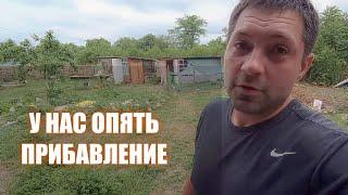 КУПИЛИ ДОМ НА ХУТОРЕ | СЮРПРИЗЫ НЕ ЗАКАНЧИВАЮТСЯ #хутор #жизньвдеревне #купилдом