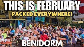 Benidorm is PACKED in February! -  Strip, Levante, Old Town & Derramador