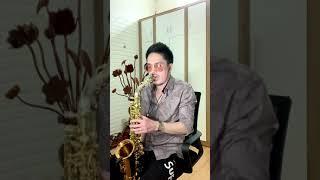 Cánh Hồng Phai - Saxophone Ta Trung Duc