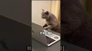 시급이 무려 18만원이라고??