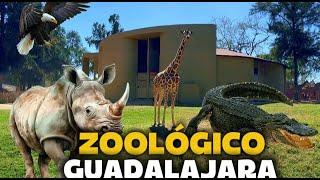 Visit the Guadalajara Zoo, the largest in Latin America | Pay for the cheapest ticket