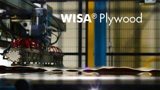 WISA Birch Plywood Process