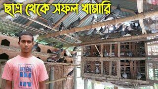 #134 কবুতর পালন করে সফল ছাত্র || kobutor palon in Bangladesh