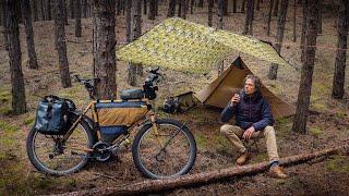 Bikepacking Wild Camping in the Winter Woods