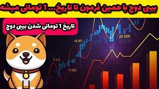 بیبی دوج‌کوین تا این بازه ی زمانی قیمتش به 1 تومان می‌رسد و همه رو میلیارد میکنه