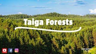 Earth's largest terrestrial BIOME - Taiga Forests