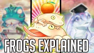 Why Are A Bunch Of Frogs The Game's Best Control Deck? [ Frogs ] [ Yu-Gi-Oh Archetypes Explained ]