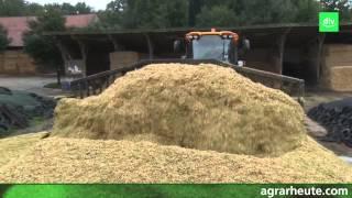 Hofreport aus Niedersachsen: 22 Hektar Mais in ein Silo