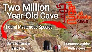 Exploring The Mystery Of Al Hoota Cave In Oman