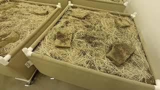 How To Setup A "Ghetto HugelKultur" Living Soil Bed Indoors