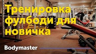 Тренировка фулбоди для новичка