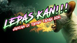  LEPAS KAN!!! REMIX LAMPUNG MUSIK LEPAS ARR DINDA SADAM