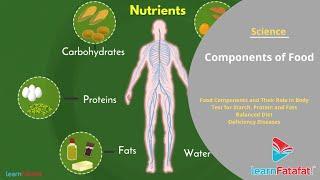 Components of Food Grade 6 Science Chapter 2 Full Chapter | Learnfatafat