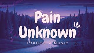 Pain Unknown, In Silent Night | Original Lo-fi Song (Lyrics) | New English Song 2024