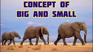 BIGGER AND SMALLER / BIGGEST AND SMALLEST / COMPARISON FOR KIDS / Concept of big and small