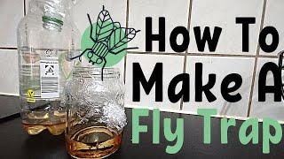 How To Make A Fly Trap With Honey