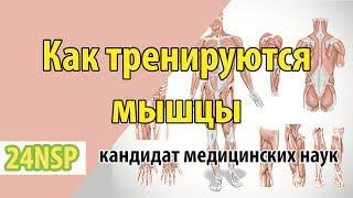 Как тренируется реакция?  Простой принцип от кандидата медицинских наук.