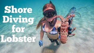 Shore Diving for Lobster, South FL