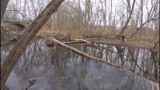 Slaying the Rainbow and Brook Trout in Late Fall!