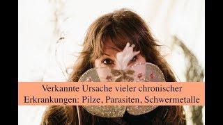 Parasiten, Pilze & Schwermetalle - verkannte Ursache chronischer Erkrankungen