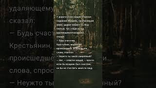 Мудрость слова  Цитаты со смыслом! Правда жизни 