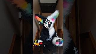 O no 3: #furry #furries #fursuit #viral #tiktok #fyp #shorts