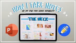 How I make NEAT NOTES on my IPAD PRO using NOTABILITY | Journey2Med