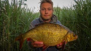 Coarse fishing for GIANT RUDD