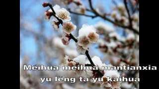 Mei Hua(Plum flower) - Teresa Teng