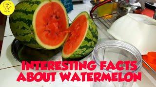 INTERESTING FACTS ABOUT WATERMELON 