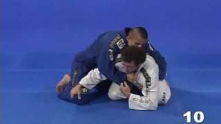 Eduardo Telles Turtle & Octopus Guard - Turtle Sweeps 1