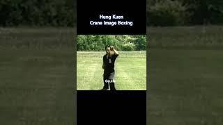 Hung Kuen Crane Image Boxing. #kungfu #martialarts #neuquen #china