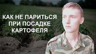 ПРОСТОЙ, БЫСТРЫЙ и НАДЁЖНЫЙ способ посадки картофеля. Как ПОСАДИТЬ картошку без КОПКИ