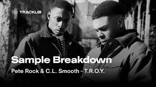 Sample Breakdown: Pete Rock & CL Smooth - They Reminisce Over You (T.R.O.Y.)