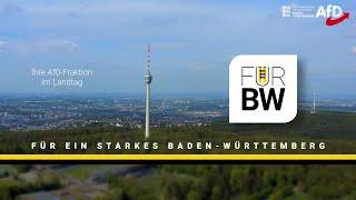 Das Alternative Verkehrskonzept Ihrer AfD-Fraktion – für ein starkes Baden-Württemberg!