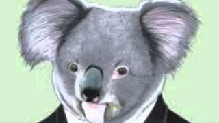 back to home -  El Señor koala