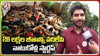 Ground Report :  IIT Students Quits Job and Start Country Chicken Farming | Hyderabad | V6  News