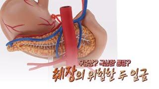 TV메디컬 약손_췌장 질환(계명대학교 동산병원 소화기내과 조광범교수)