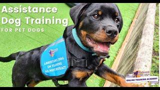 Owner Trained Assistance Dogs - Step by step training