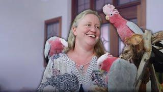 The 3 Sub Species of Galahs | Different Types of Galah Cockatoos