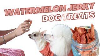 Watermelon Jerky: A Shareable Dog Treat Recipe | Proud Dog Mom