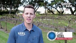 Grab a glass of wine and check out Keel Farms in Plant City | Taste and See Tampa Bay